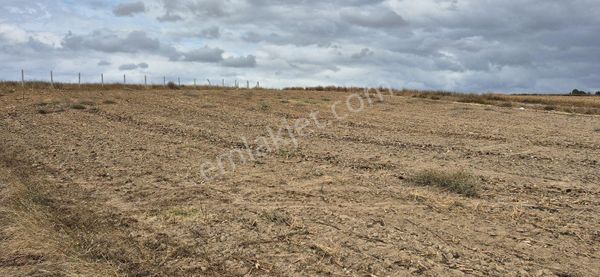 Asfalt Cephe Son Parseller