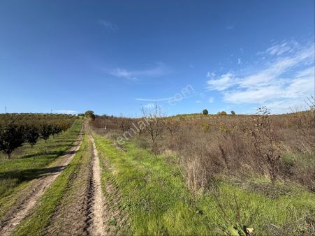 Osmangazi Avdancık’da Satılık Meyve Bahçesi