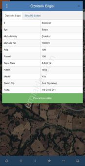 Balnova Dan Balya Çakallar Mah. 6040 M2 Satılık Tarla