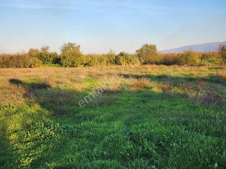 Kemalpaşa Ören'de Çift Yol Cepheli Satılık Bahçe 6660m2