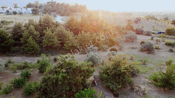 Kemalpaşa Gölet Yanı Satılık 38 Dönüm Arazi