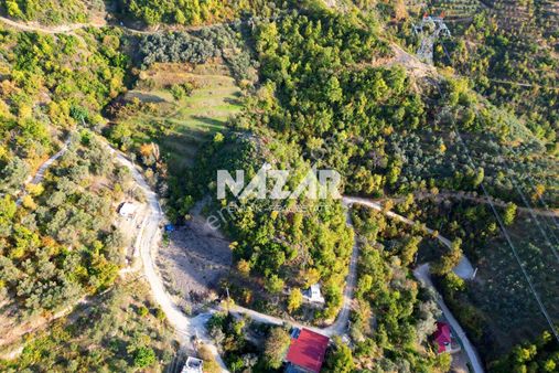 Alanya Mahmutseydi’de 6.324 M² Satılık Tarla