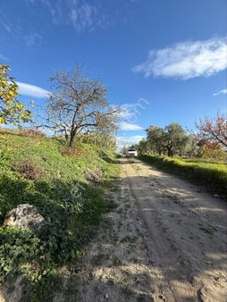 Osmangazi Gündoğdu Köyü Satılık Yatırımlık Tarla