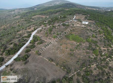 Milas Kuzyaka Mahallesinde Satılık Tarla