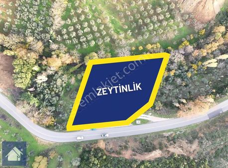 *yiğit Emlak Armutlu'dan*ana Yola Cephe 1009 M2*resmi Yapılı