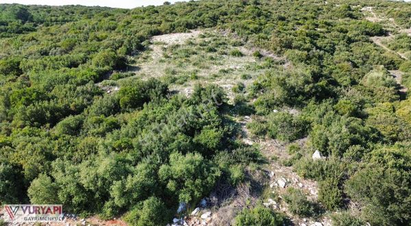 Didim Akyeniköy Bozseki Mevki 420 M² Villa Arsası 20/40 İmarlı