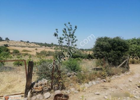 Tarssa Gayrimenkul'den Satılık Menemen Alaniçi Mh. Satılık Tarla!