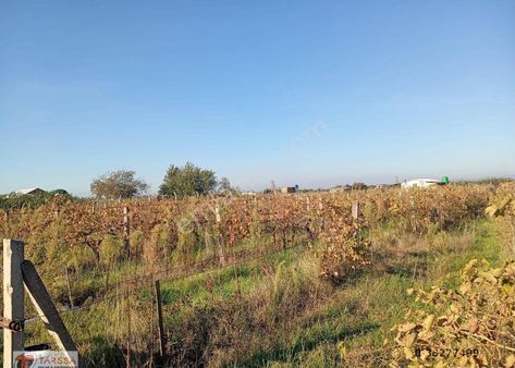 Tarssa Gayrimenkul'den Menemen Doğa Mh. Satılık Tarla!