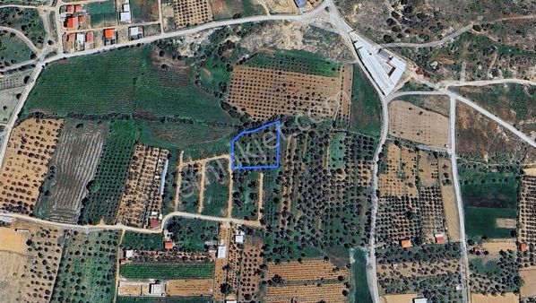 Emlak Durağı'ndan Dereköy'de 2835 M² Tarla