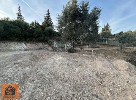 Ayrancılar'da Satılık 243 M2 Tarla Elektrik Su Aktif