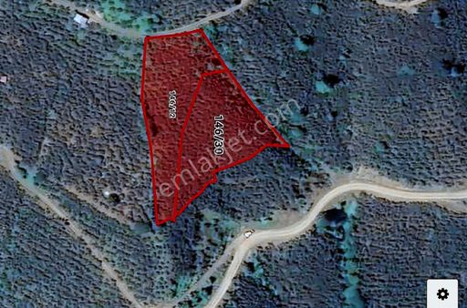 Ordu Gürgentepede Satılık Fındık Bahçesi