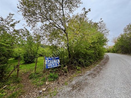 Yol Kenarı & Deniz Manzaralı Satılık Fındık Bahçesi 6.750 M2