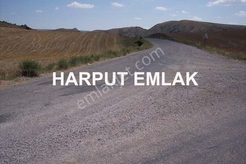 Acil İhtiyaçtan Y.kamışlı Mah. 2.564m2 Müstakil Tek Tapulu Arsa