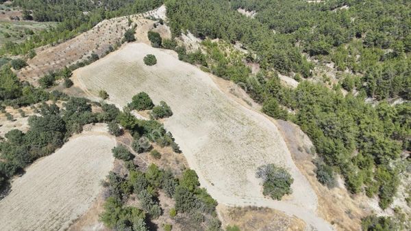 Denizli Kale Ortaköy'de Yatırımlık Fırsat Tarla!!!