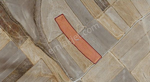 Afyon Emirdağ Örenköy De Kadastral Yola Cepheli Fırsatt !!