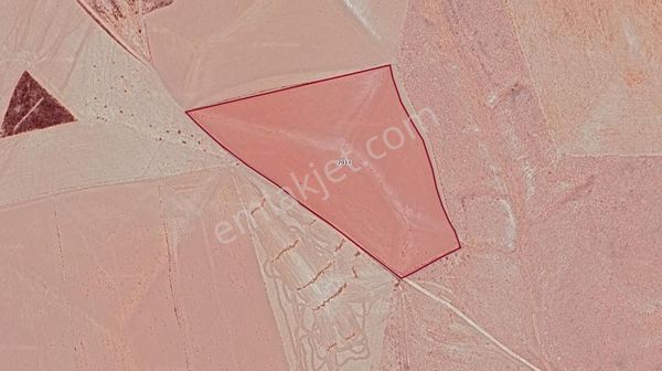 Konya Emirgazi Emirgazimerkez' De Fırsat Düz Tarım Arazisi