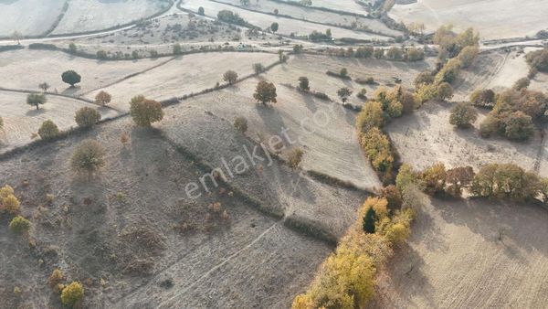 Balıkesir Balya Dereköy'de Yatırımlık Fırsat Arazi!!!