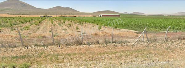 Acil! Konya Ereğli Kutören, Elma Bahçeleriyle Çevrili Fırsat
