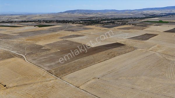 Acil!eskişehir/günyüzü/özler, Ev Ve Çiftlik Yapımına Uygun Arazi