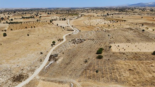 Denizli Bekilli Kutlubey'de İçinde Üzüm Bağı Olan Arazi!!!