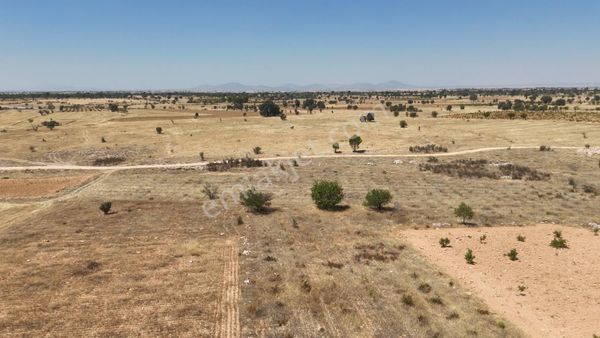 Denizli Bekilli Kutlubey'de Üzüm Bağı Olan Fırsat Arazi!!!
