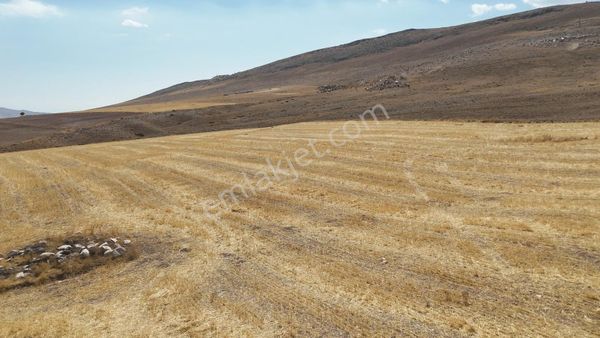 Eskişehir Sivrihisar Babadatta 15.360 M² Yatırımlık Arazi