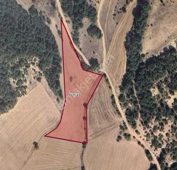 Köybaşında Yatırımlık Köye Yakın Arazi