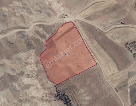 Korçullu Köy Dibinde - Kadastral Yola Cephe Tarla