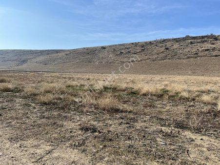 Konya Tuzlukçu Koraş'nda Harika Fırsat Arazi!!!