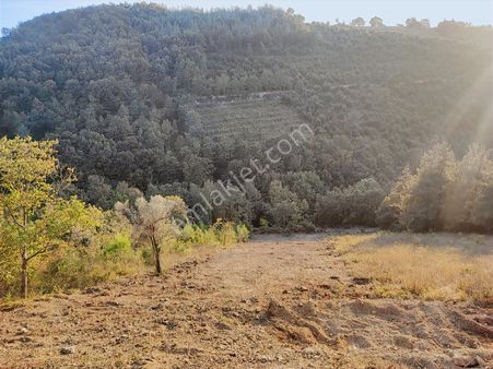 Karamürsel Çamdibi'nde Ev Yapımına Uygun Asfalta Sıfır Arazi