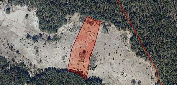 Kütahya Simav Sarıkaya Köyünde Düz, Verimli Fırsat Tarla!!!