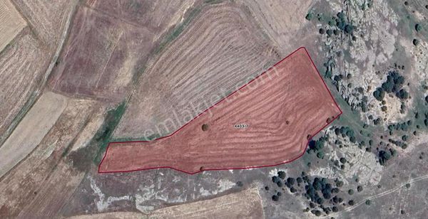 Eskişehir Seyitgazide Yatırımlık Müstakil Arazi 8.570 M²