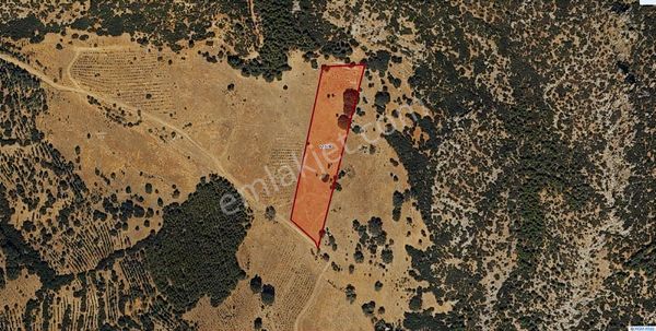 Antalyaya Komşu, Yol Cepheli, Yatırımlık Fırsat Arazi-7.614 M²