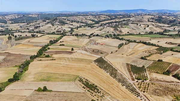 Kandıra Da Ev Yapmaya Ve Çiftlik Yapmaya Uygun Fırsat Arazi