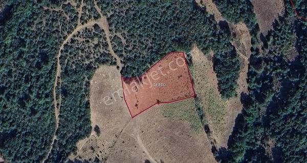 Balıkesir / Kepsut / Kayaeli Mahallesinde 3.069 M² Müstakil Ara