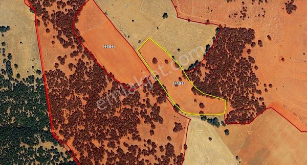 Konya Beyşehir Gökçekuyuda Fırsat Tarla