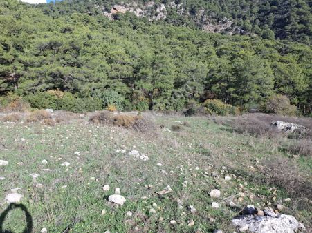 Klas Emlak'tan Kumluca Yeşilköy'de 10 Dönüm Satılık Arazi