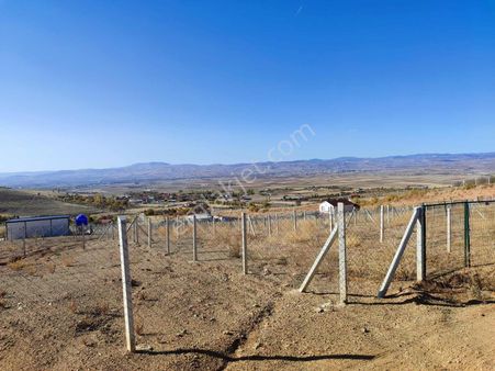 Sarsılmaz Grup'tan Akyurt Cücük'te Fırsat Satılık Hobi Bahçeleri