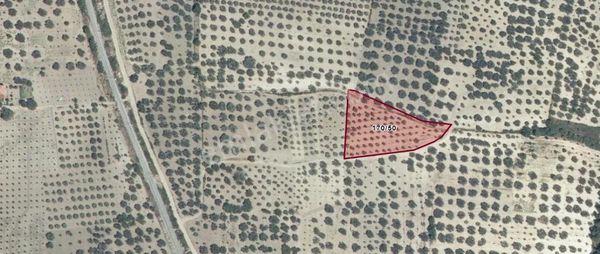 Kırkağaç Bakır Mah.karaman Mevkiinde 3541 M² Zeytinli Tarla