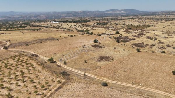 Denizli Bekilli Bükrüce'de Yatırımlık Fırsat Arazi!!!!!