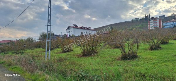 Şahinoǧlu Emlaktanakçakalezeytinlik'te, 525 M2, Deniz Manzaralı Villa Arsası