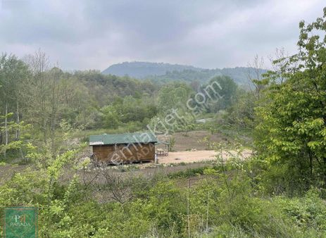 İnegöl Muratbey De Dere Kıyısında Hobi Bahçesi