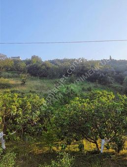 Seçköyde Satılık Tarla