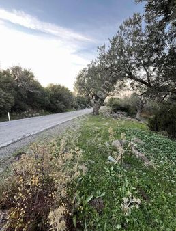 Gözde Life'tan Karakuzuda Yola Cepheli Satılık 60 M Hisse