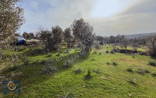 Hacıömerli Köyünde 1040m2 Tapulu Harika Manzaralı Bahçe