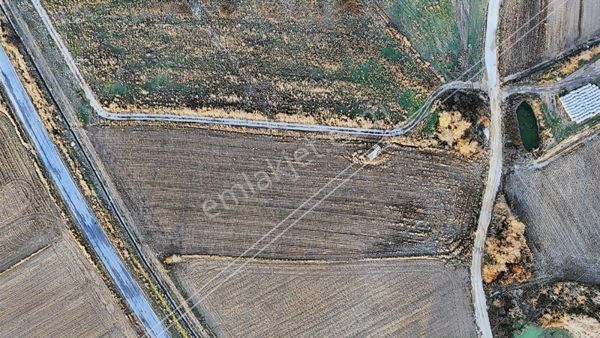 Kırklareli Merkez Asilbeyli Köyünde Satılık 7866 M2 Arsa