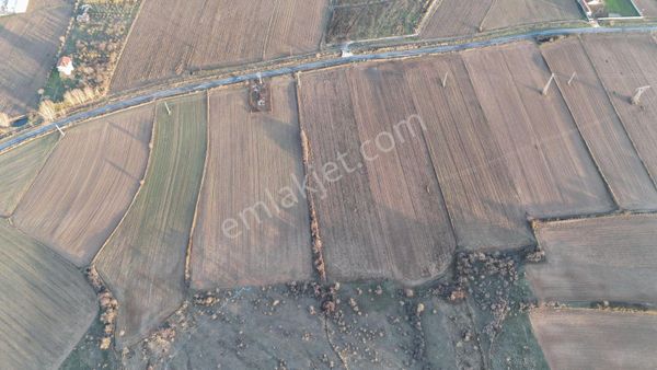 Kırklareli Merkez Asilbeyli Köyünde 12.189 M2 Satılık Arsa