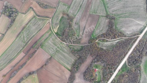 Kırklareli Pınarhisar İlçesi Akören Köyünde 2657m2 Satılık Tarla
