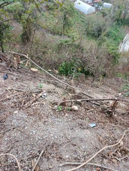 Ereğli Güncel Emlak Cemaller Köyü Fındıklık Satıyor