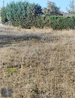 Silivri B.sineklide Arsa